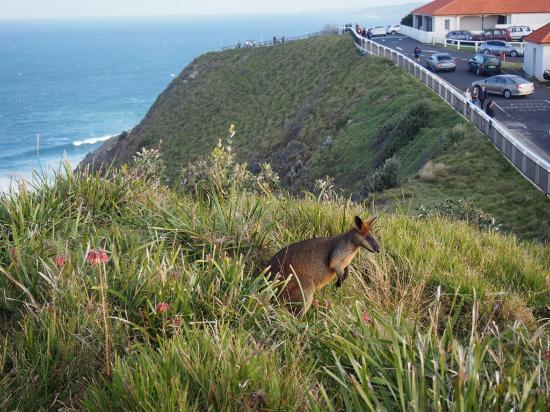 Nationaal park Arakwal